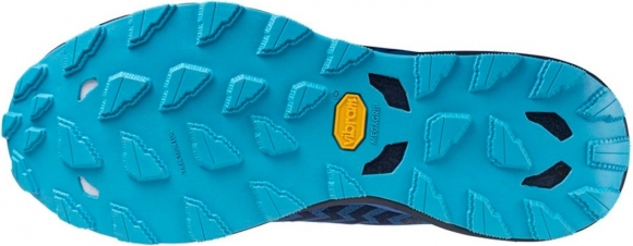 J1GJ2456 51 MIZUNO Wave Daichi 8 GTX / Кроссовки внедорожники J1GJ2456 51 MIZUNO Wave Daichi 8 GTX / Кроссовки внедорожники