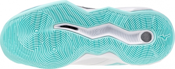 V1GC2545 45 MIZUNO Wave Momentum Pro MID (W) / Волейбольные кроссовки