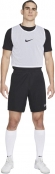 CW3845 100 NIKE U DF PARK20 BIB / Манишка  (компл. 3 шт.)