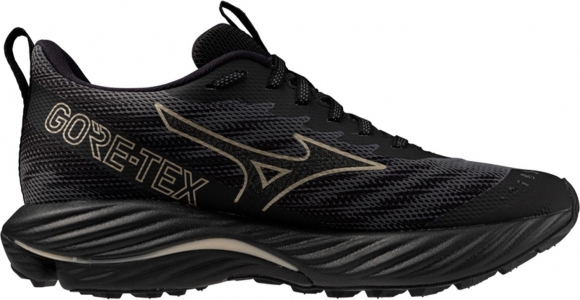 J1GD2479 21 MIZUNO Wave Rider GTX 2 (W) / Кроссовки