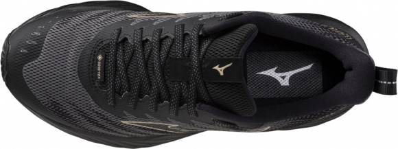 J1GD2479 21 MIZUNO Wave Rider GTX 2 (W) / Кроссовки
