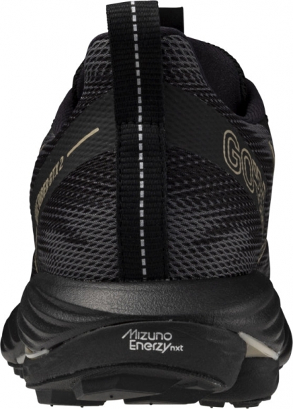 J1GD2479 21 MIZUNO Wave Rider GTX 2 (W) / Кроссовки