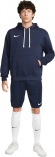 CW6894 451 NIKE M NK FLC PARK20 PO HOODIE / Толстовка