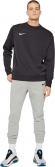 CW6902 010 NIKE M NK FLC PARK20 CREW / Джерси