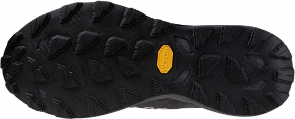 J1GK2456 21 MIZUNO Wave Daichi 8 GTX (W) / Кроссовки внедорожники