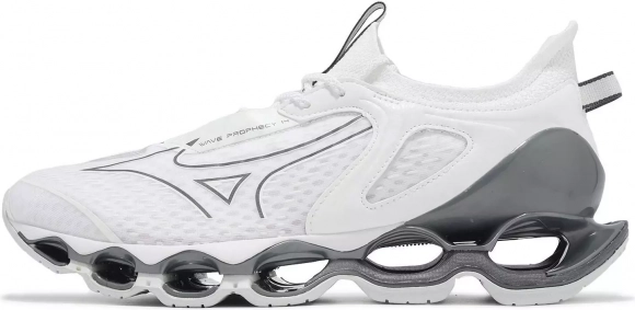 J1GC2551 32 MIZUNO Wave Prophecy 14 / Кроссовки