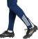 JI6549 ADIDAS TIRO25C TR PNT / Брюки