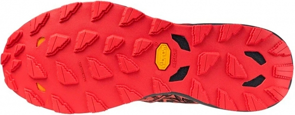 J1GJ2471 01 MIZUNO Wave Daichi 8 / Кроссовки внедорожники J1GJ2471 01 MIZUNO Wave Daichi 8 / Кроссовки внедорожники