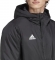 IB6076 ADIDAS ENT22 STADJKT / Куртка