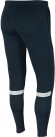 CW6122 451 NIKE Dri-FIT Academy / Брюки