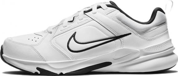 DM7564 100 NIKE Defy All Day / Кроссовки