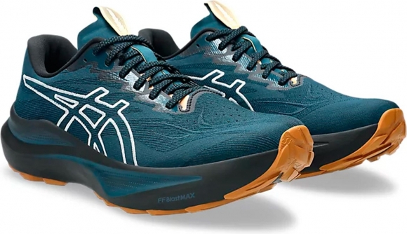 1011C129 300 ASICS GT-2000 14 TR / Кроссовки