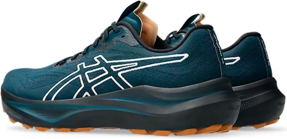 1011C129 300 ASICS GT-2000 14 TR / Кроссовки