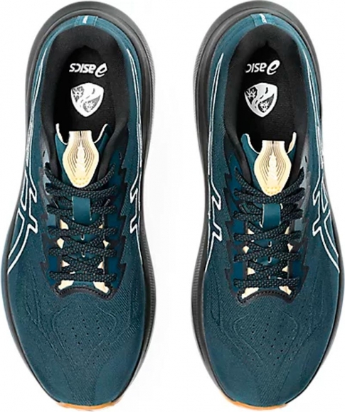 1011C129 300 ASICS GT-2000 14 TR / Кроссовки