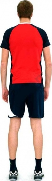 V2EA7002 62 MIZUNO Premium High-Kyu Tee Hiq / Футболка