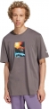 IM9680 ADIDAS ADI PIC TEE / Футболка