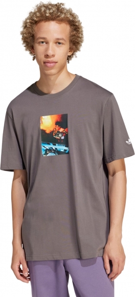 IM9680 ADIDAS ADI PIC TEE / Футболка