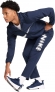 HJ3069 451 NIKE M NK DF FORM PANT ALT SWOOSH / Брюки