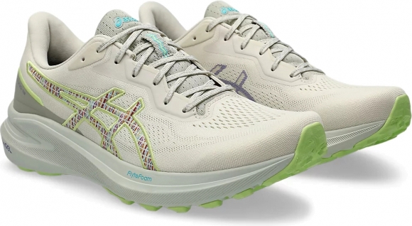 1011C043 300 ASICS GT-1000 13 TR / Кроссовки