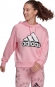 HC9174 ADIDAS W BLUV Q1 HD / Толстовка