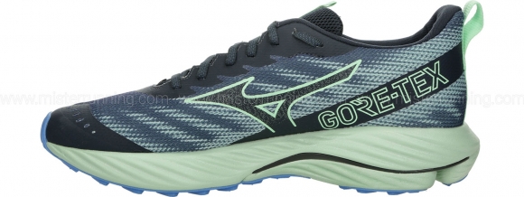 J1GC2479 51 MIZUNO Wave Rider GTX 2 / Кроссовки
