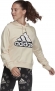 HC9179 ADIDAS W BLUV Q1 HD / Толстовка