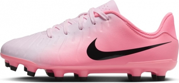 DV4348 601 NIKE JR LEGEND 10 ACADEMY FG/MG / Бутсы