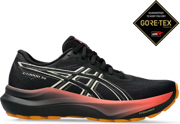 1012B844 001 ASICS GT-2000 14 GTX (W) / Кроссовки 1012B844 001 ASICS GT-2000 14 GTX (W) / Кроссовки