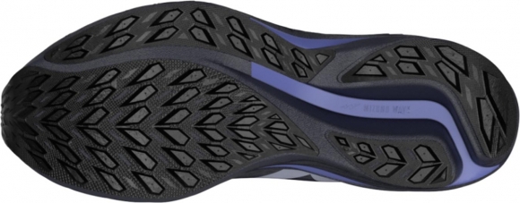 J1GD2579 21 MIZUNO Wave Rider GTX 3 (W) / Кроссовки