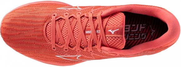 J1GC2308 01 MIZUNO Wave Rider 27 / Кроссовки