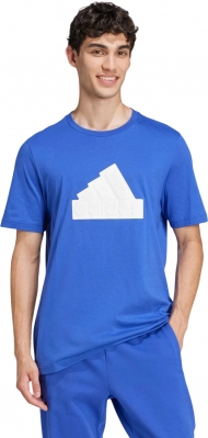 IY7715 ADIDAS M FI BOS REG T / Футболка IY7715 ADIDAS M FI BOS REG T / Футболка