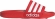 GZ5923 ADIDAS ADILETTE SHOWER / Шлепанцы