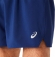 2011C391 404 ASICS Road 5" Short / Шорты