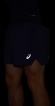 2011C391 404 ASICS Road 5" Short / Шорты