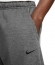 DQ5405 071 NIKE M NK TF PANT TAPER / Брюки