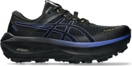 1011C115 001 ASICS Fujisetsu Max GTX / Шипованные кроссовки внедорожники 1011C115 001 ASICS Fujisetsu Max GTX / Шипованные кроссовки внедорожники