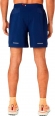 2011C390 404 ASICS Road 2-in-1 7" Short / Шорты 2 в 1