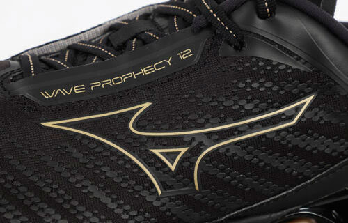 J1GC2383 33 MIZUNO Wave Prophecy 12 / Кроссовки
