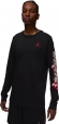 FN5976 010 NIKE M J BRAND LS GFX CREW / Лонгслив