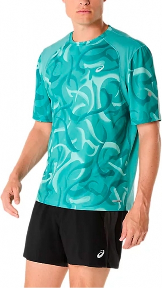 2011D095 300 ASICS Road Lite-Show SS Top / Футболка