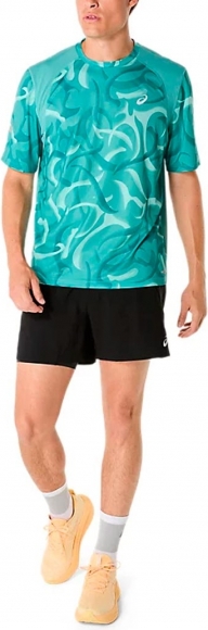 2011D095 300 ASICS Road Lite-Show SS Top / Футболка