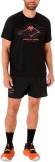 2011C981 003 ASICS Fujitrail Logo SS Top / Футболка