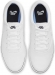 DM3494 102 NIKE SB Chron 2 Canvas / Кроссовки