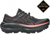1012B893 001 ASICS Fujisetsu Max GTX (W) / Шипованные кроссовки внедорожники 1012B893 001 ASICS Fujisetsu Max GTX (W) / Шипованные кроссовки внедорожники