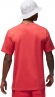 DV1445 604 NIKE M J JD AIR STRETCH SS CREW / Футболка