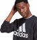 IB3995 ADIDAS M BL FL SWT / Свитшот