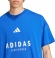 JJ3661 ADIDAS M A SZN G T / Футболка