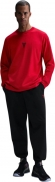 IB0241 657 NIKE KB M NK TEE LS M90 LNY / Лонгслив