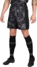 FN2413 069 NIKE M NK DF ACDPR SHORT KZ GX / Шорты