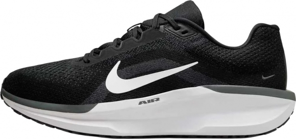 FJ9509 001 NIKE AIR WINFLO 11 / Кроссовки